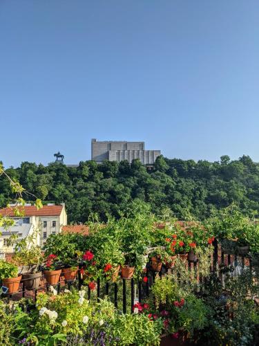 a bunch of potted plants on top of a hill at Guestrooms, rooftop with garden, spacious living room, character and fireplace in Prague