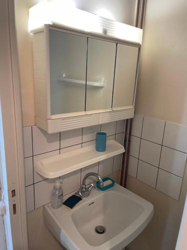 La salle de bains est pourvue d'un lavabo et d'un miroir. dans l'établissement La Forêt Auvray - Maison de campagne, à Putanges