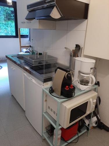 une cuisine avec un comptoir avec un micro-ondes dans l'établissement Studio 19 m2 à louer au Mont-Dore, à Mont-Dore