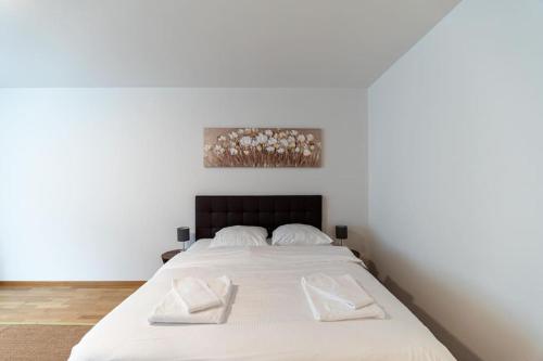 Amazing studio city center - Wille 4