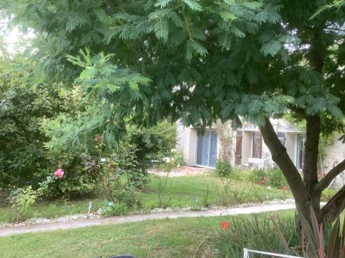 a house with a tree in front of a yard at Gite Augirons in Saint-Ciers-sur-Gironde