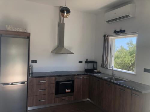 a kitchen with wooden cabinets and a sink and a window at Helen in Pírgos Psilonérou