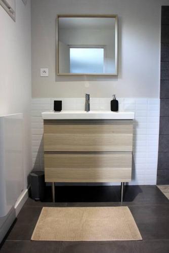 une salle de bain avec un lavabo et un miroir dans l'établissement Studio avec terrasse et parking, à Castelginest
