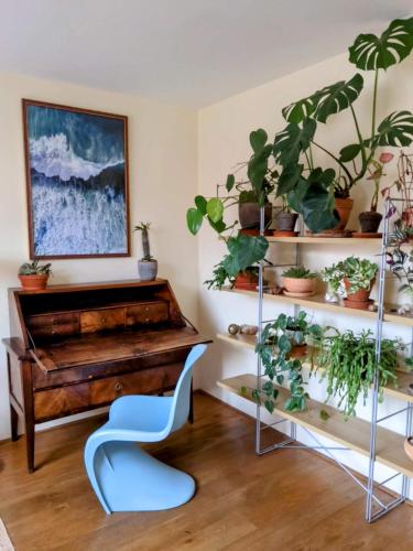 a room with a piano and plants on shelves at Guestrooms, rooftop with garden, spacious living room, character and fireplace in Prague