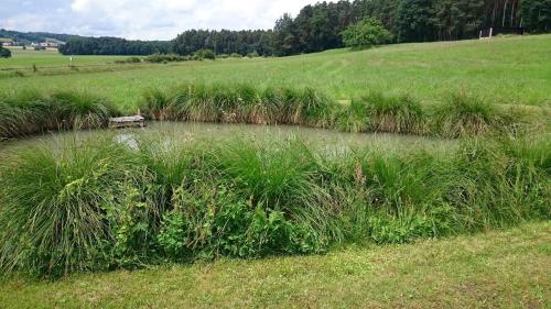 a bench sitting in the middle of a field at Ferienhaus "Kleine Auszeit" in Pleinfeld