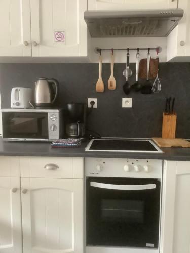 a kitchen with a stove and a microwave at Gite Augirons in Saint-Ciers-sur-Gironde