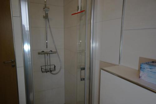 a shower in a bathroom with a glass door at Beilsteiner Ferienwohnungen in Beilstein