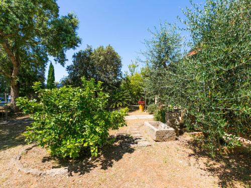a garden with trees and a brick path at Holiday Home Oliveta 1 by Interhome in Fiorino