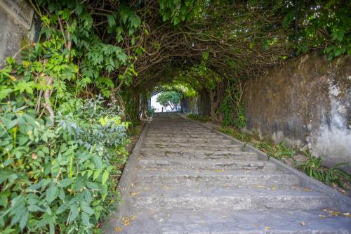 a path with an archway with plants on it at Pousada de Ourém - Fátima in Ourém