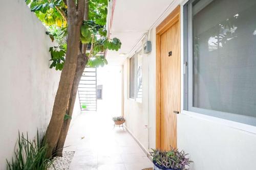 un pasillo con un árbol en el lateral de un edificio en Modern Apt with Workspace in Central Queretaro, en Querétaro