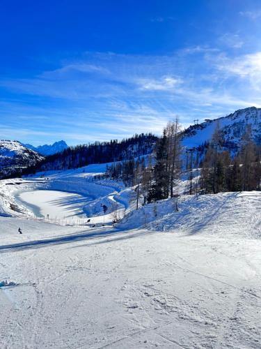 a snow covered slope with trees on a mountain at Almappartement Nassfeld- Sonnenalpe in Sonnenalpe Nassfeld