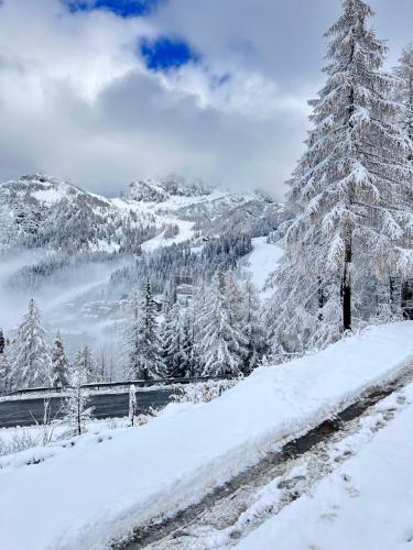 a snow covered hill with trees and mountains in the background at Almappartement Nassfeld- Sonnenalpe in Sonnenalpe Nassfeld