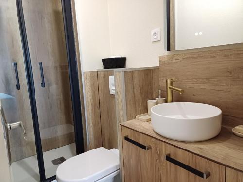 une salle de bain avec un lavabo, des toilettes et une douche dans l'établissement Archer, Plein centre, Quartier historique, à Amiens