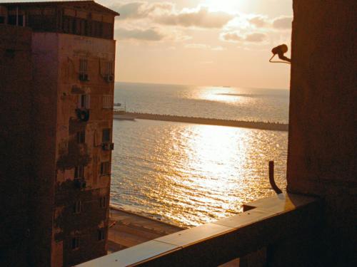 بأرقى مكان على شاطىء الاسكندرية