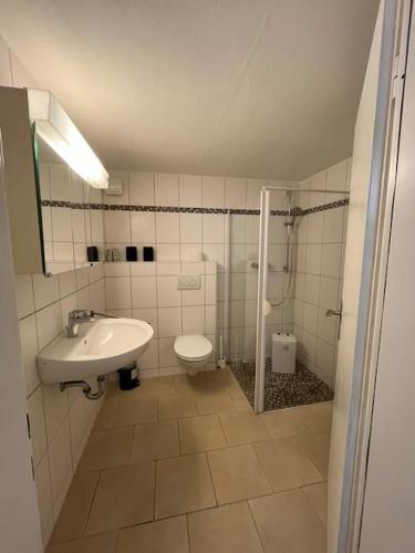 a bathroom with a sink and a toilet at Appartement FlexiHome Garbe in Hüsten