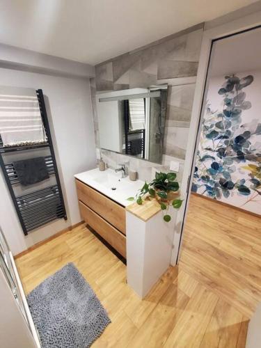 une salle de bain avec un lavabo et un miroir dans l'établissement Sur le chemin du Cens, à Orvault