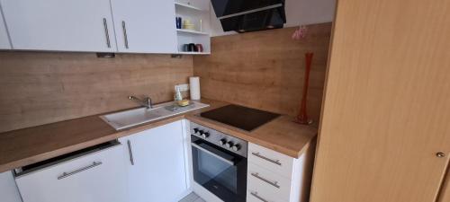 a small kitchen with white cabinets and a sink at helle Souterrainwohnung nähe Flughafen, Landshut und München 1 bis 5 Personen in Bruckberg