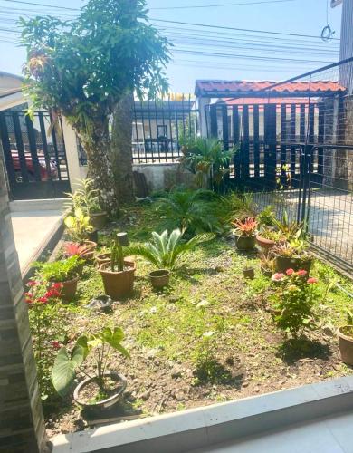 a garden with potted plants in a yard at Entire Holiday Home in Shell