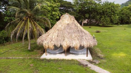 a straw hut with a palm tree in a field at Camping Tequendama - Parque Tayrona in El Zaino
