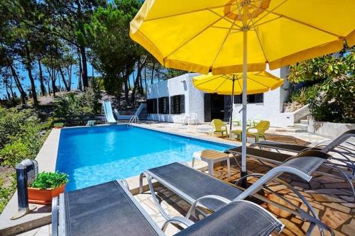 Πισίνα στο ή κοντά στο Quinta da Tranquilidade