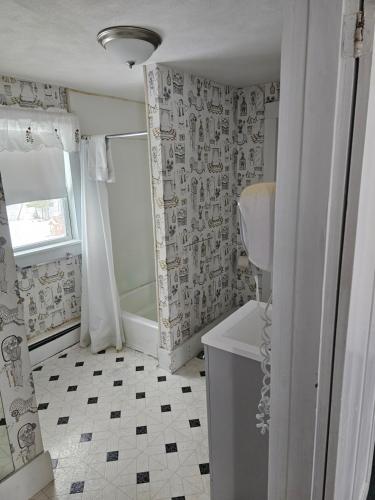 a bathroom with a shower and a sink and a toilet at Lake Shore Farm Inn in Northwood