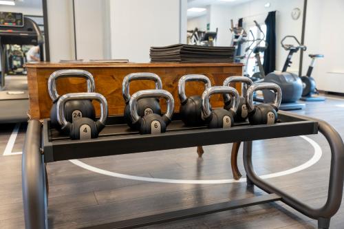 Fitness centrum a/nebo fitness zařízení v ubytování The Aries Hotel