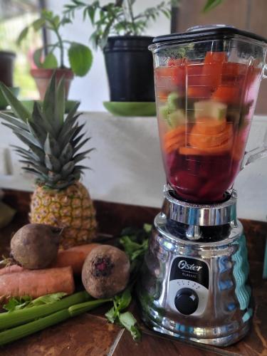 a blender filled with fruit and vegetables on a table at Hostel 23 in Las Terrenas