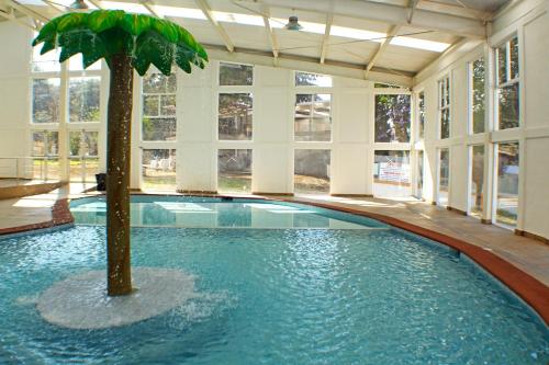 a indoor swimming pool with a palm tree in it at Coral Clubes Santa María in Tlalmanalco de Velázquez