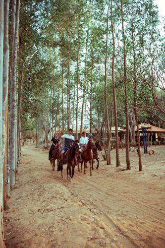 a group of people riding horses down a dirt road at SR Brotas in Brotas