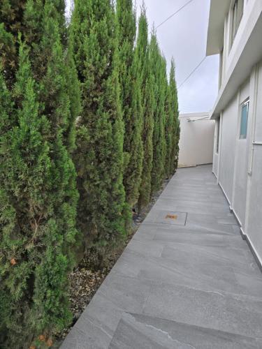 a sidewalk lined with trees next to a building at Condesa Hotel Boutique Zacatlán in Zacatlán