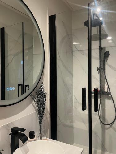 une salle de bain avec un lavabo, un miroir et une douche dans l'établissement Appartement au cœur de Paris, à Paris