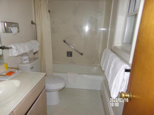 a bathroom with a toilet and a tub and a sink at Scott Shady Court Motel in Winnemucca