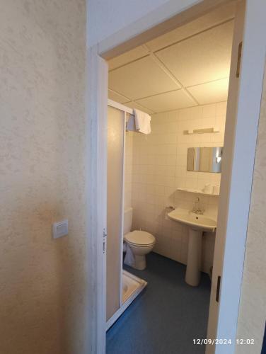 a bathroom with a toilet and a sink at Chambre chez Marie et Didier 1 minute à pied du sanctuaire de Lourdes in Lourdes