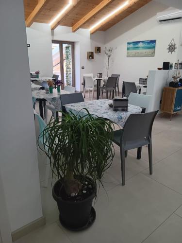 a dining room with a table and chairs and a plant at La Perla Amantea - Rooms & Apartaments in Amantea