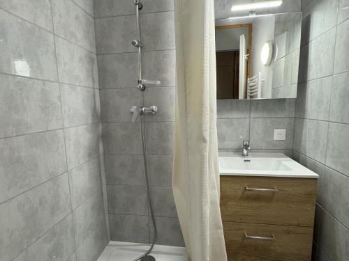 Appartement avec balcon et accès direct pistes, animaux admis