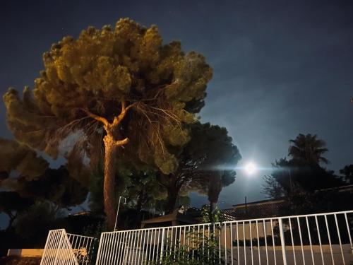 Gambar di galeri bagi Villa Oromana di Alcalá de Guadaira