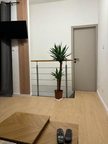 a living room with a potted plant and a door at Ubuntu House - Charleroi in Charleroi