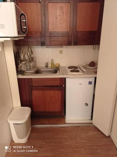 une petite cuisine avec un évier et une cuisinière dans l'établissement Appartement cœur de paris, à Paris