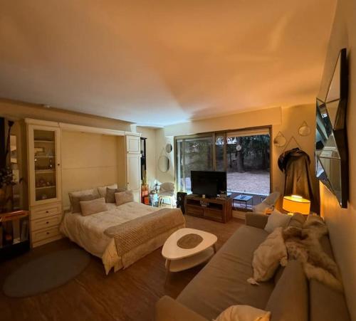 un salon avec un lit et un canapé dans l'établissement Appartement cœur de paris, à Paris