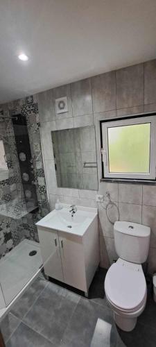a bathroom with a toilet and a sink and a tub at Casa VazPeralta in Castanheira de Pêra