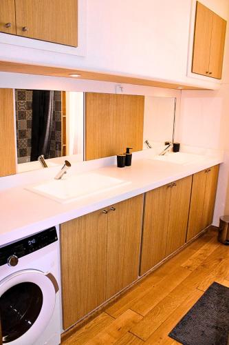 une cuisine avec un évier et une machine à laver dans l'établissement Appartement cosy et charmant T4, à Marseille
