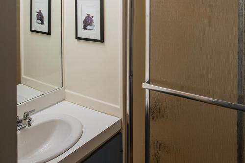 a bathroom with a sink and a mirror at Devil's Lookout in Seven Devils