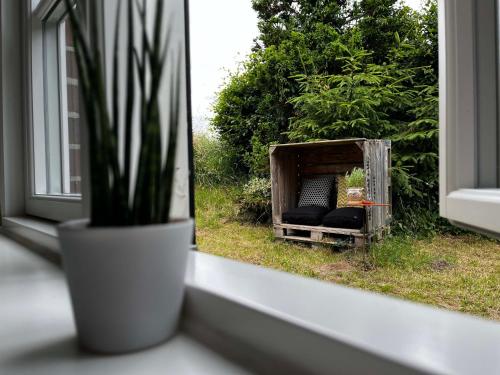 a plant sitting on a window sill next to a couch at Elbkoje in Drage