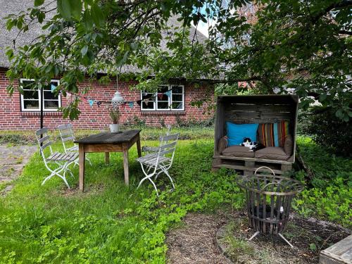 a cat sitting on a couch in a backyard at Elbkoje in Drage