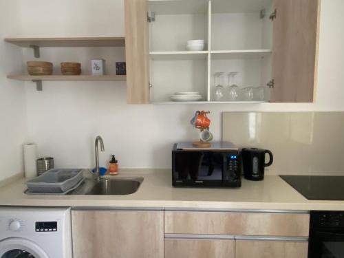 a kitchen counter with a sink and a microwave at logement insolite sous les tropiques in Grand Case