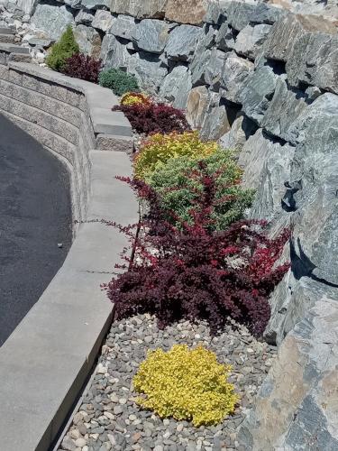 a bunch of plants in a rock wall at Okanagan Lake Sunrise BB in Vernon