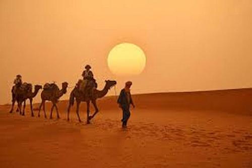a group of people riding camels in the desert at Aaladdin luxury camp in Merzouga