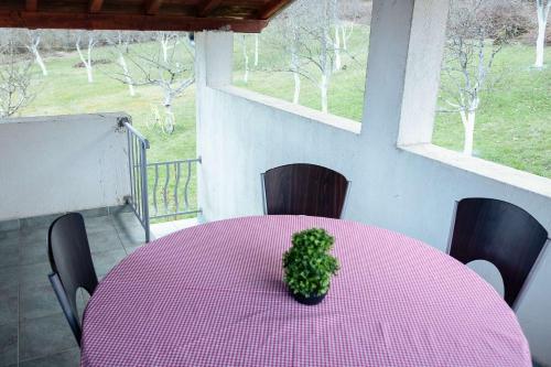 a pink table with a potted plant on top of it at Secluded apartments Srb, Zagora - 22245 in Srb