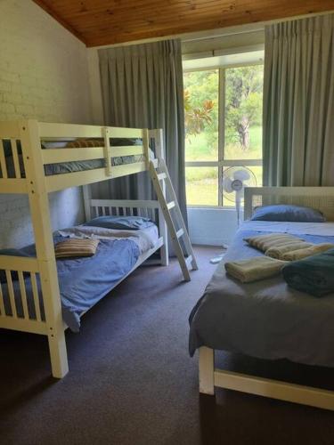 two bunk beds in a room with a window at Charlie & Roy's Farm Berry in Berry