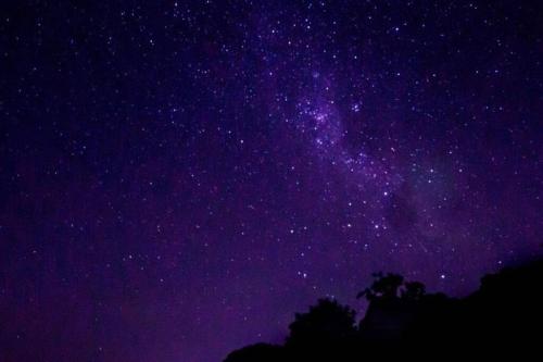 a starry night with a purple sky and trees at Charlie & Roy's Farm Berry in Berry